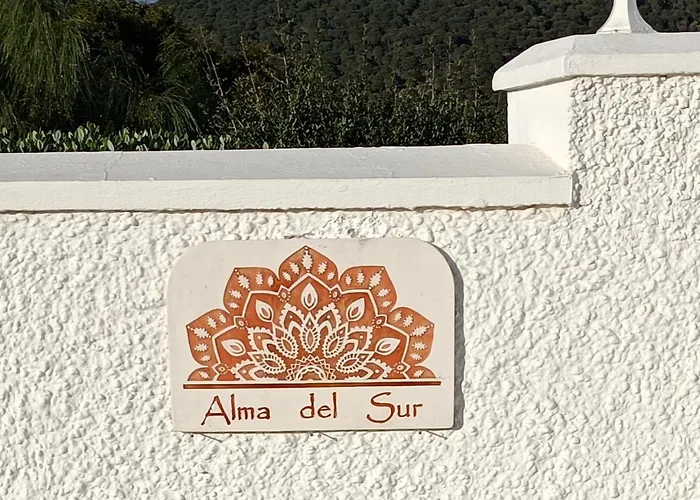 Alma Canos De Meca