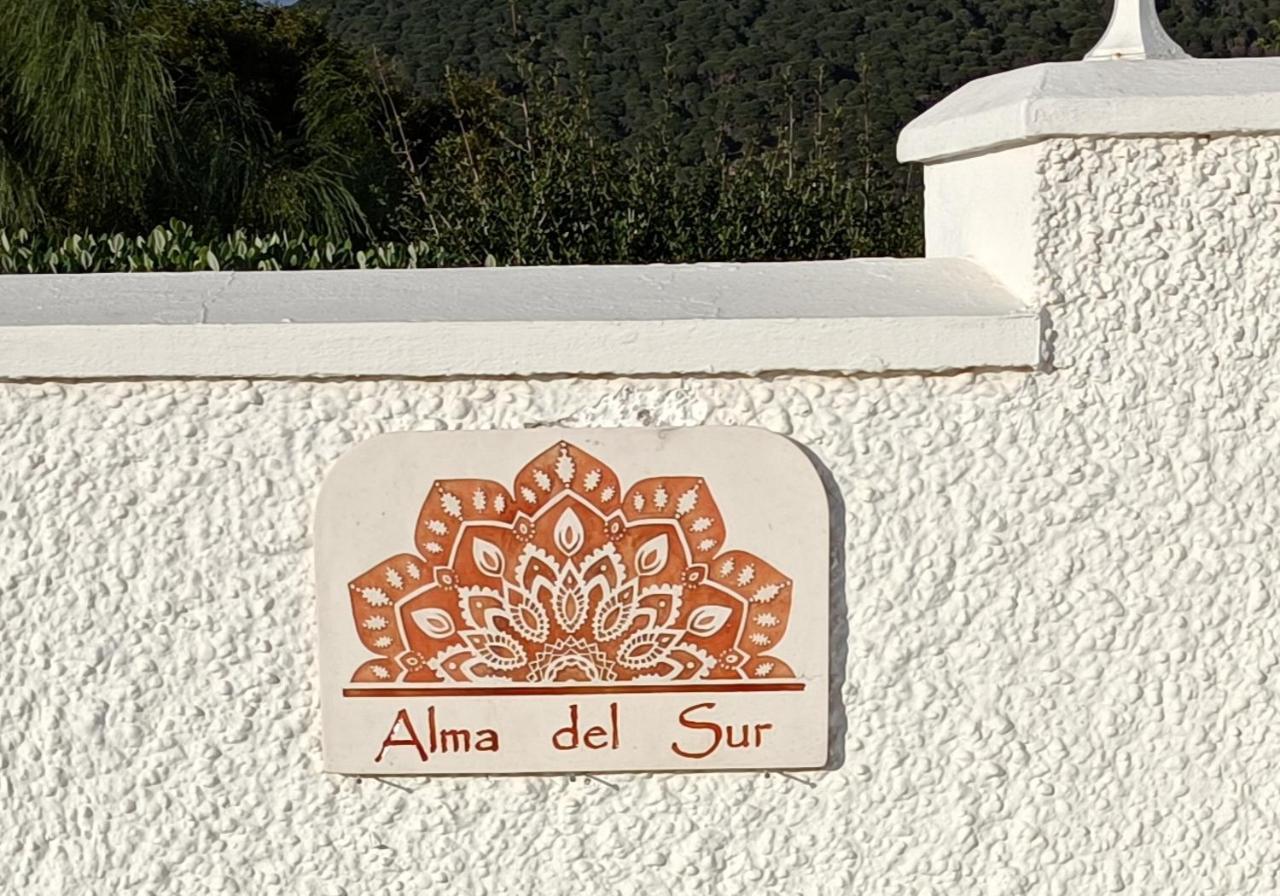 Alma Canos De Meca *